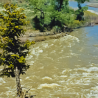 Click for larger view!